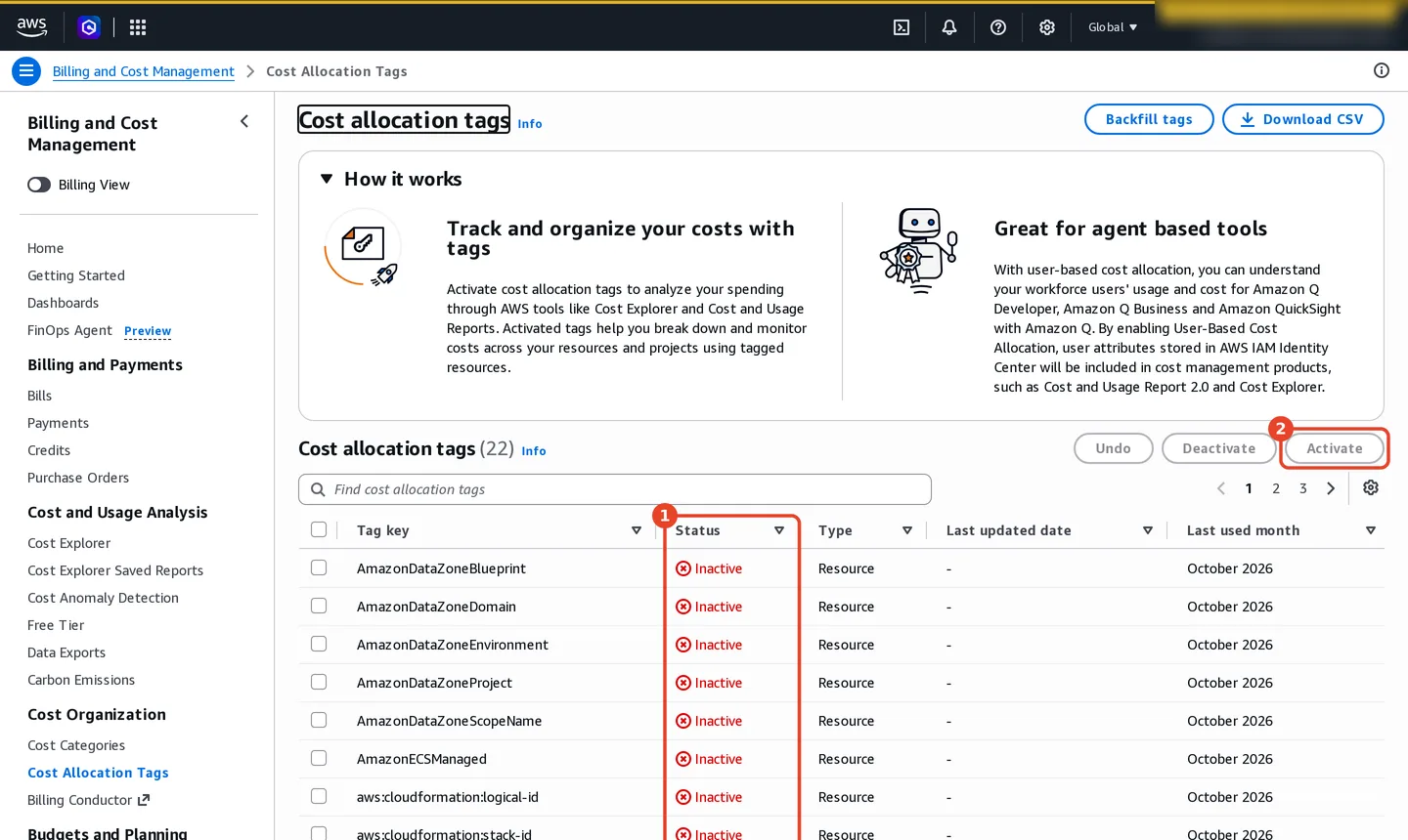 Cost Allocation Tags page. Cost allocation tags (22), with Undo, Deactivate and (2) Activate buttons. The table lists tag keys AmazonDataZoneBlueprint, AmazonDataZoneDomain, AmazonDataZoneEnvironment, AmazonDataZoneProject, AmazonDataZoneScopeName, AmazonECSManaged, aws:cloudformation:logical-id and aws:cloudformation:stack-id, each with (1) status Inactive, type Resource, last used October 2026.