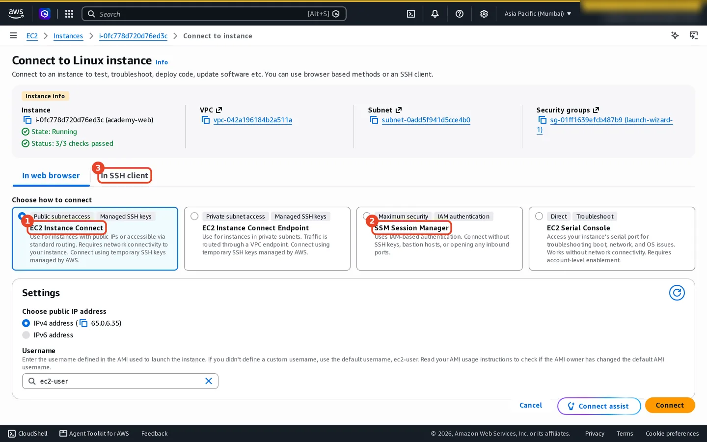 Connect to Linux instance, In web browser tab: EC2 Instance Connect (selected), EC2 Instance Connect Endpoint, SSM Session Manager (Maximum security, IAM authentication) and EC2 Serial Console. The In SSH client tab is highlighted.